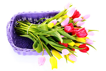 Image showing basket full of tulips