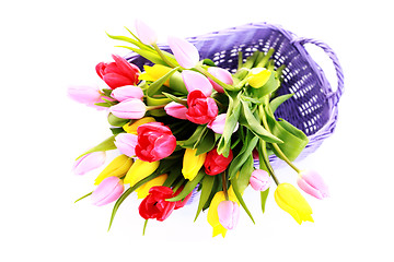 Image showing basket full of tulips