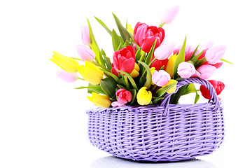 Image showing basket full of tulips