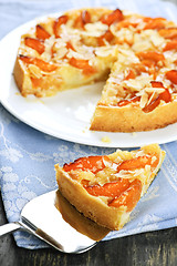 Image showing Slice of apricot and almond pie