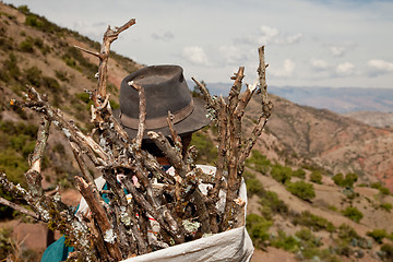 Image showing Woman With Firewood, Peru