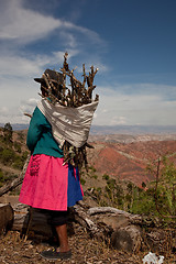 Image showing Woman With Firewood, Peru