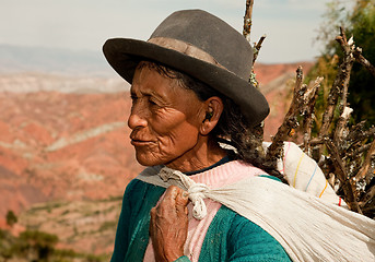 Image showing Woman, South America