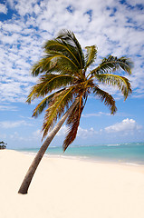 Image showing Exotic beach