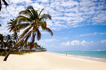 Image showing Tropical beach