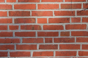 Image showing brick wall