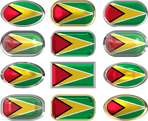 Image showing twelve buttons of the Flag of Guyana