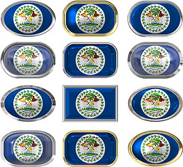 Image showing twelve buttons of the Flag of Belize