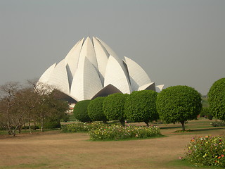 Image showing Lotus Blossom