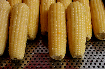 Image showing Corn #2
