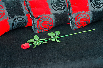 Image showing Rose at sofa