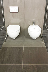 Image showing Grey WC