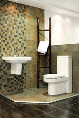Image showing Safari toilet