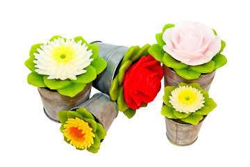 Image showing Flowers in can