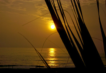 Image showing Beach Sunset 