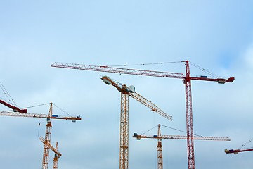 Image showing Cranes