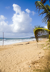 Image showing volley ball court with coconut tree desolate beach long bag corn