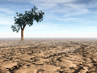 Image showing Desert scene