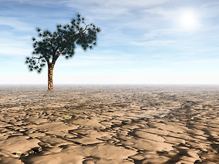 Image showing Desert scene