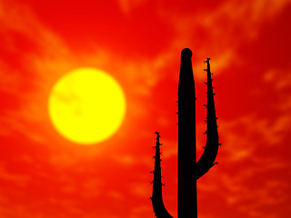 Image showing Desert scene