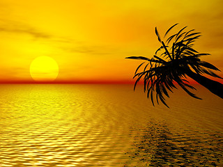 Image showing Tropical sunset