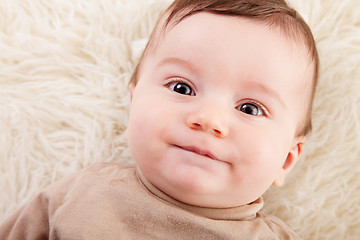 Image showing Curious Baby