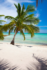 Image showing Tropical Beach