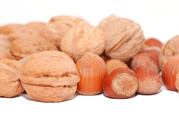 Image showing walnuts and hazelnuts