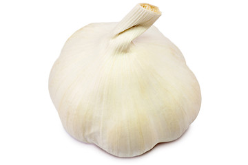 Image showing Garlic bulb