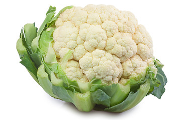 Image showing Cauliflower