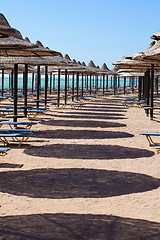 Image showing Beach chairs and umbrellas