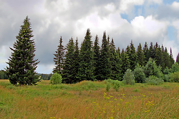 Image showing A rainy summer day