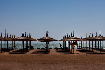 Image showing bedouin with camel on the sea beach