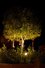 Image showing night lightning in garden