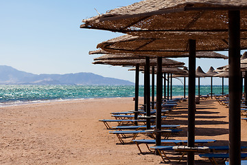 Image showing Beach chairs and umbrellas