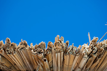 Image showing Edge of straw roof