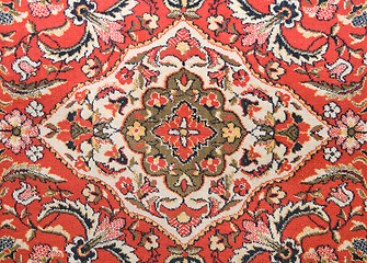 Image showing Wall carpet