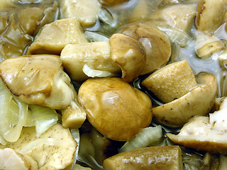 Image showing Mushrooms marinaded