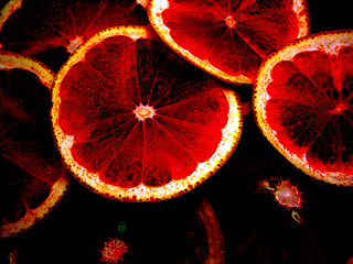 Image showing Red grapefruits