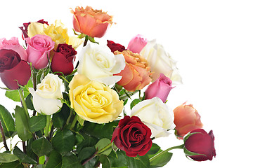 Image showing Bouquet of roses