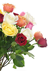 Image showing Bouquet of roses