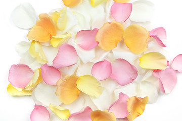 Image showing Rose petals background