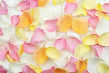 Image showing Rose petals background