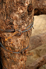 Image showing Farm fense post