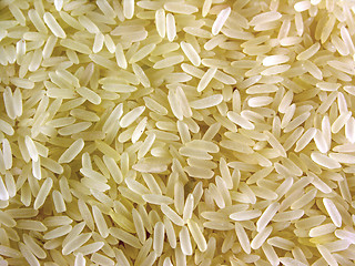 Image showing Grain culture rice