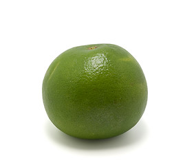 Image showing Citrus Sweetie (Oroblanco)