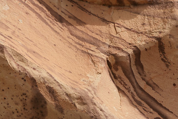 Image showing Nature's Wallpaper