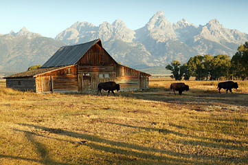 Image showing Barn And Grand Teton National Park