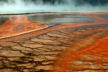 Image showing Yellowstone Goes Orange