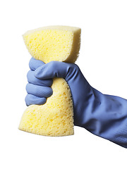 Image showing Cleaning 